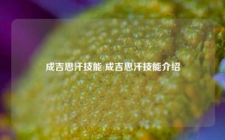 成吉思汗技能 成吉思汗技能介绍