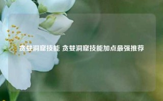 贪婪洞窟技能 贪婪洞窟技能加点最强推荐