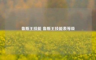 鲁斯王技能 鲁斯王技能表等级