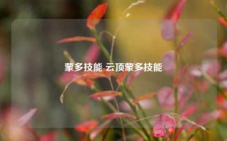 蒙多技能 云顶蒙多技能
