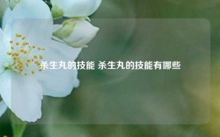 杀生丸的技能 杀生丸的技能有哪些