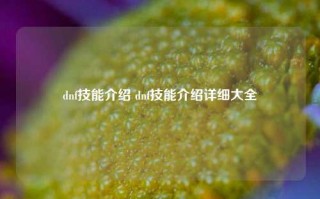 dnf技能介绍 dnf技能介绍详细大全