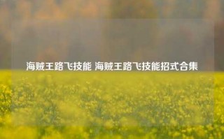 海贼王路飞技能 海贼王路飞技能招式合集