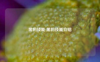 黑豹技能 黑豹技能介绍