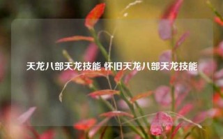 天龙八部天龙技能 怀旧天龙八部天龙技能