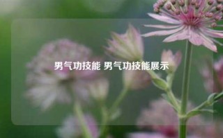 男气功技能 男气功技能展示