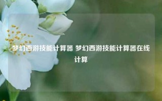 梦幻西游技能计算器 梦幻西游技能计算器在线计算