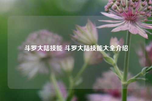 斗罗大陆技能 斗罗大陆技能大全介绍-第1张图片