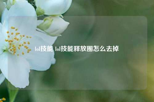 lol技能 lol技能释放圈怎么去掉-第1张图片