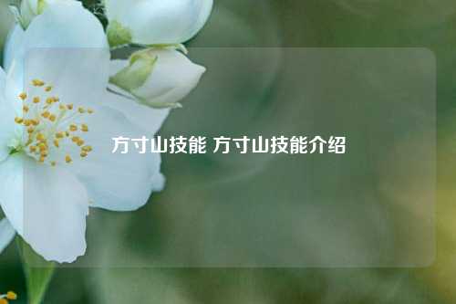 方寸山技能 方寸山技能介绍-第1张图片