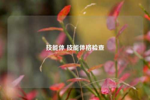 技能体 技能体格检查-第1张图片