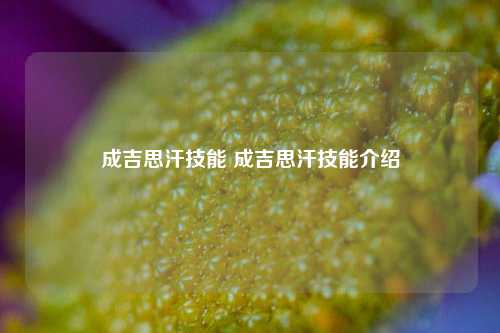 成吉思汗技能 成吉思汗技能介绍-第1张图片