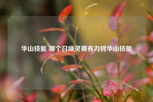 华山技能 哪个召唤灵拥有力劈华山技能-第1张图片