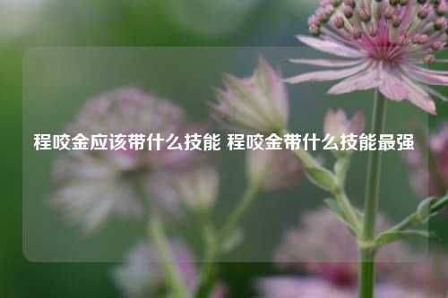 程咬金应该带什么技能 程咬金带什么技能最强-第1张图片