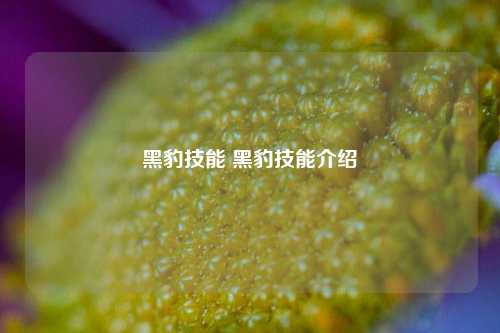 黑豹技能 黑豹技能介绍-第1张图片