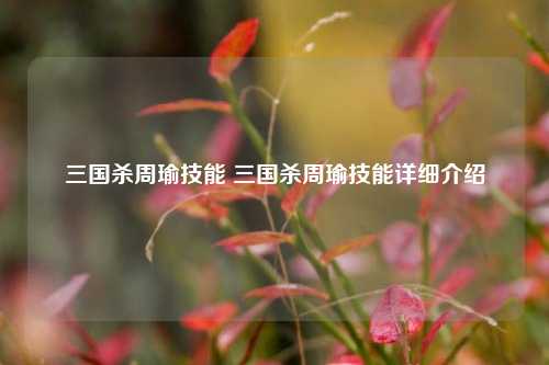 三国杀周瑜技能 三国杀周瑜技能详细介绍-第1张图片