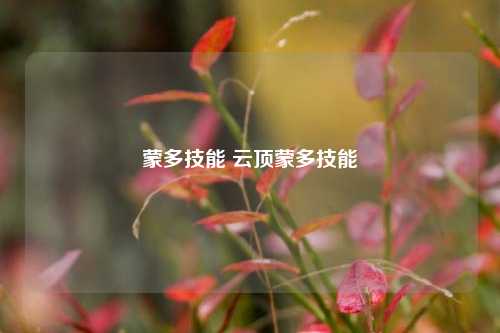 蒙多技能 云顶蒙多技能-第1张图片